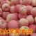 红富士苹果75mm以上膜袋