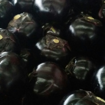 圆茄大量有货，质量好，需要联系，另有多种蔬菜