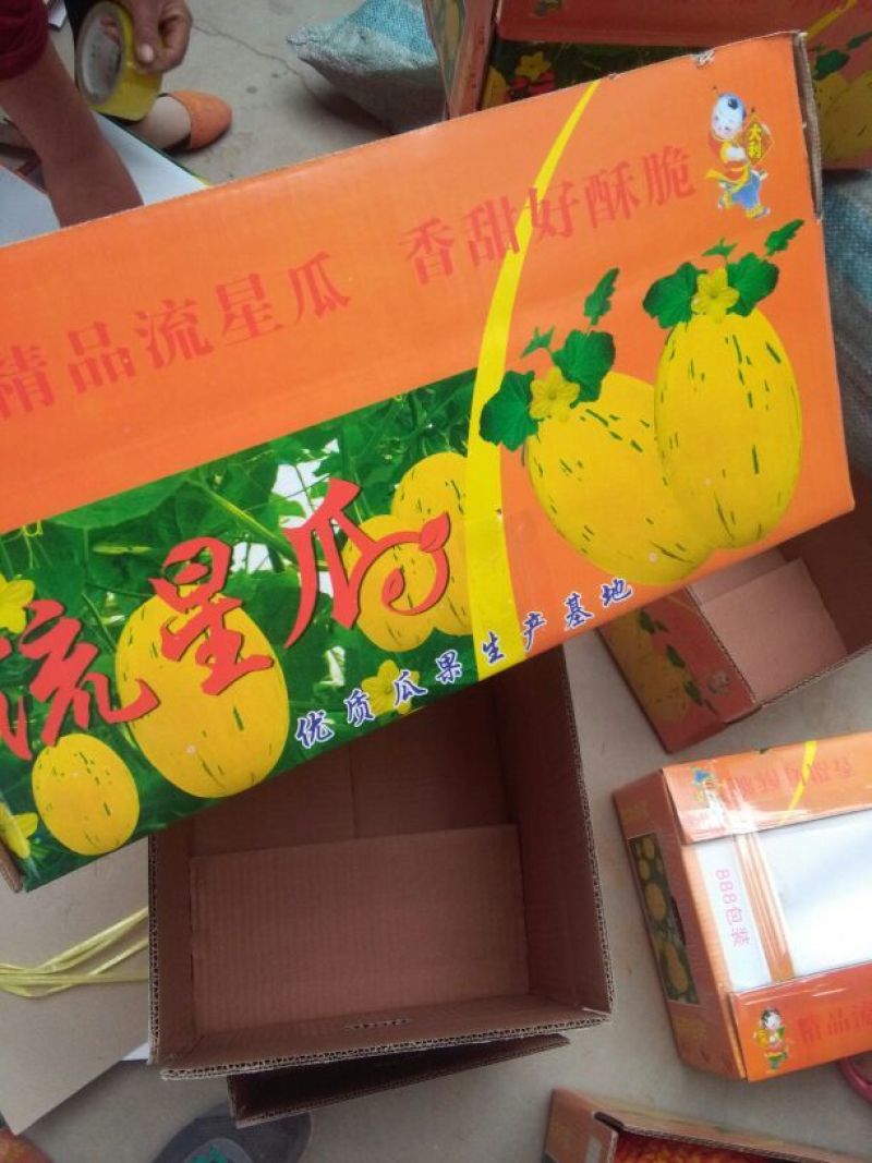 新甜哈密瓜3斤以上长圆形