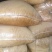 豆粕饲料原料