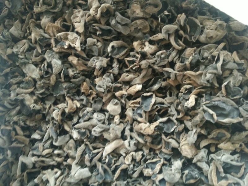 干木耳一级