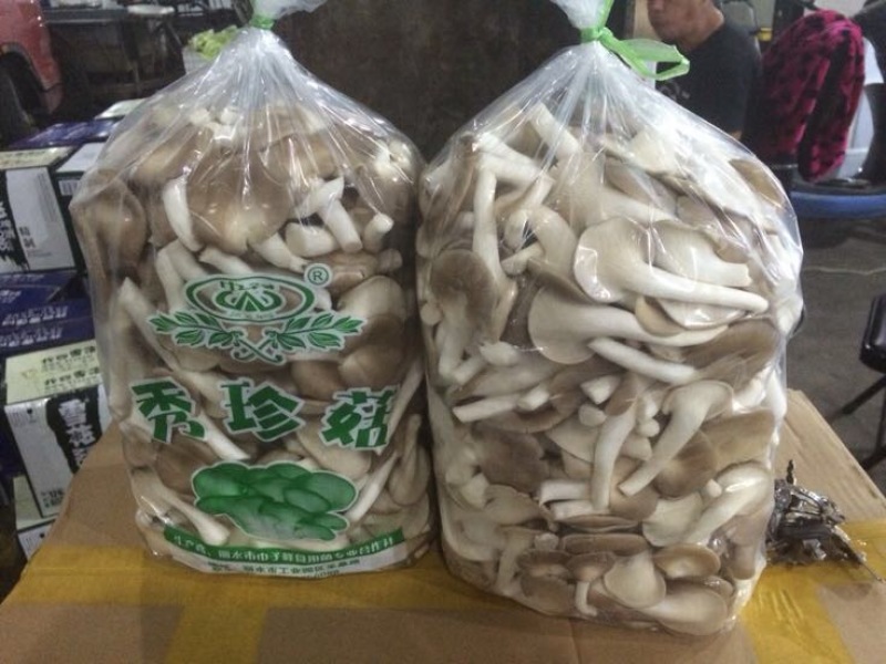 鲜秀珍菇