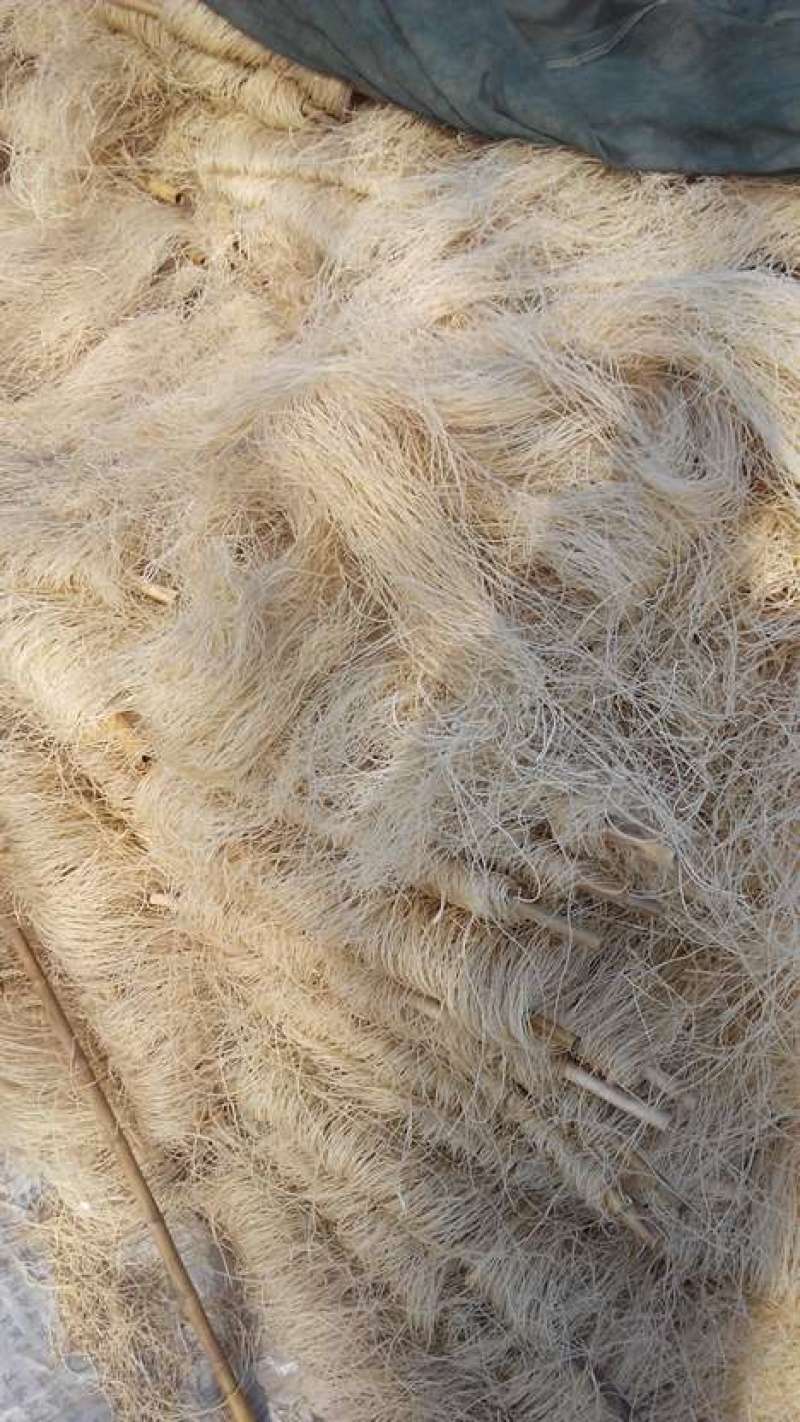 红薯粉条
