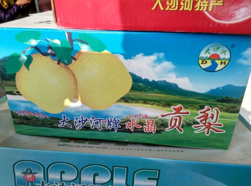 砀山梨500~550g纸加膜