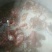 驴肉鲜货，货发全国，质量好