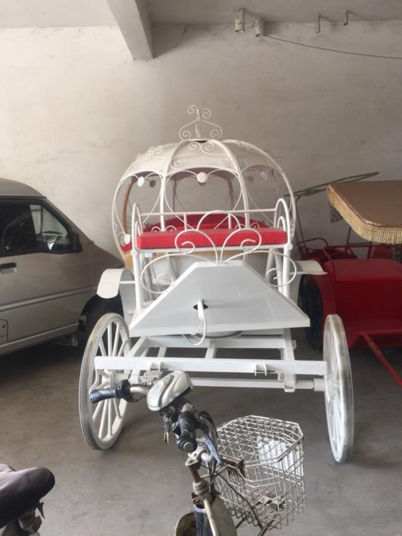 半血马400~500kg