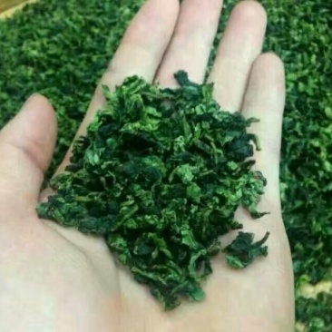 观音茶特级