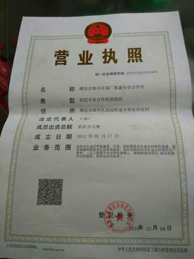 西州蜜瓜3斤以上长圆形