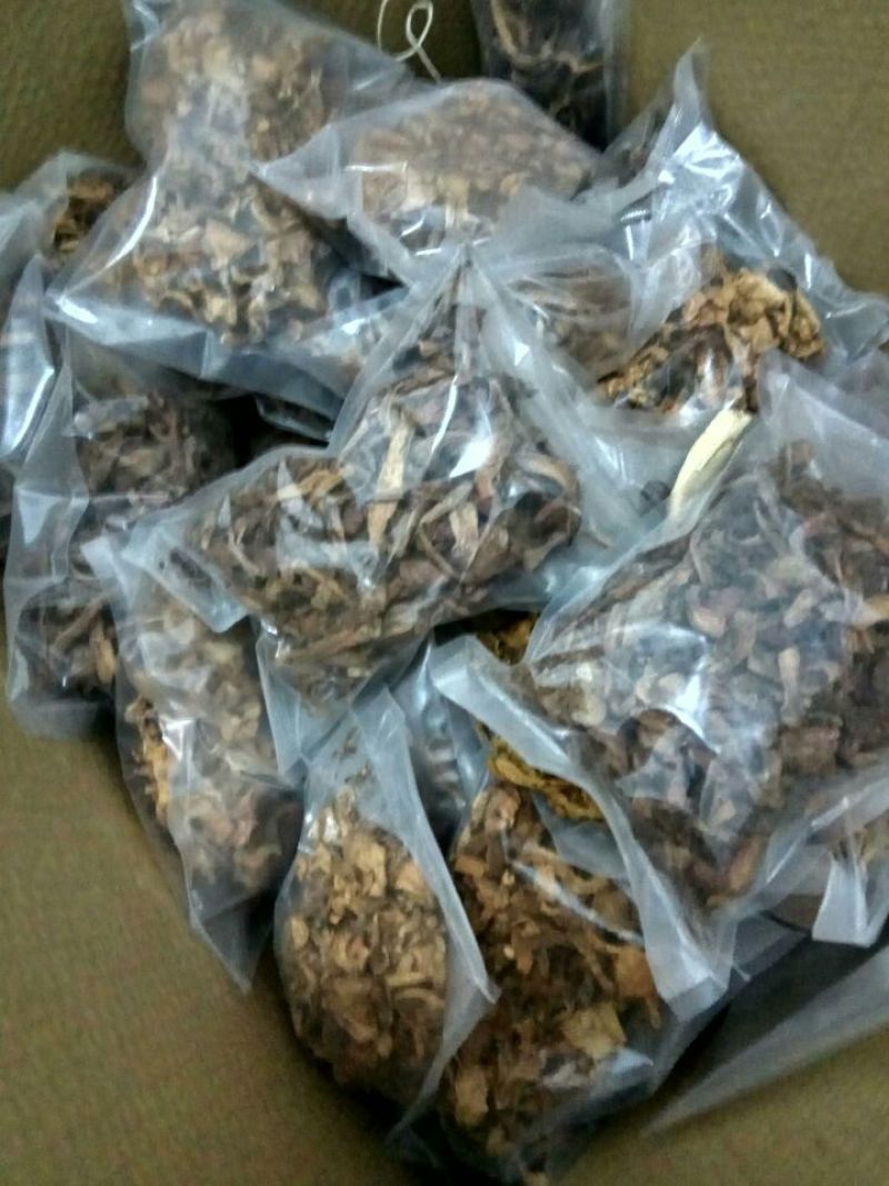 滑子菇干品