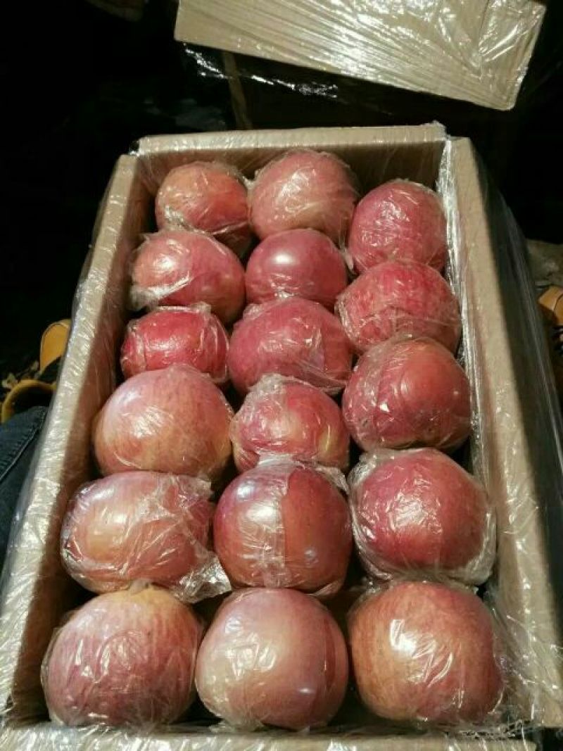 红富士苹果70mm以上膜袋