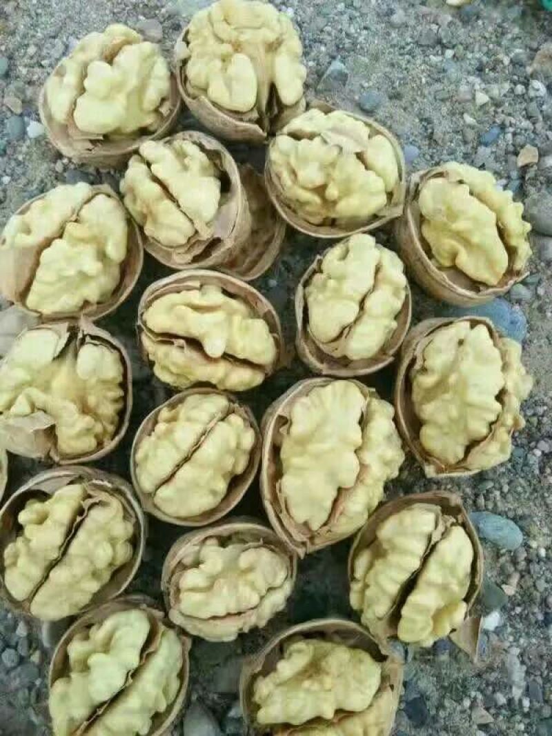 新疆185核桃去皮干