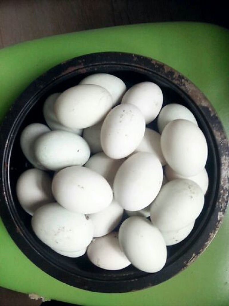 来自田园散养土鸭蛋，精选食用鸭蛋