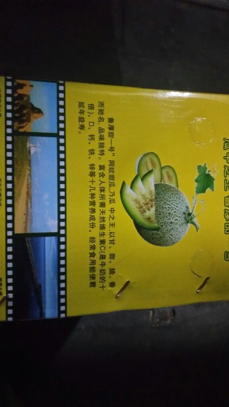 网纹瓜2斤以上椭圆形