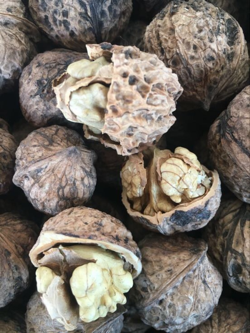 薄皮核桃去皮干
