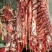驴肉驴肉驴鞭板肠量大包邮