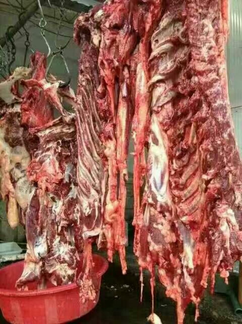 驴肉驴肉驴鞭板肠量大包邮