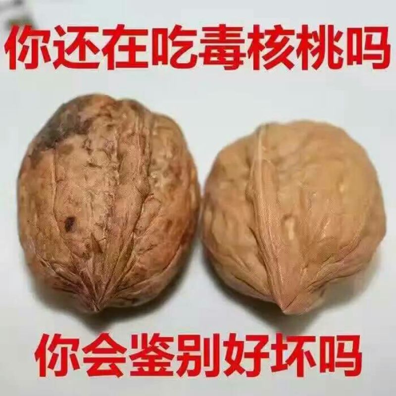 核桃去皮干