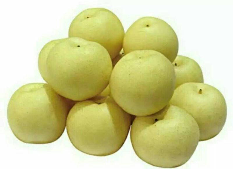 黄金梨200~250g纸袋