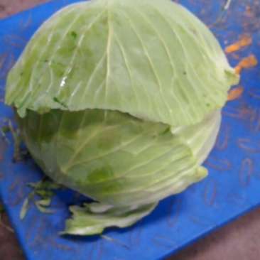 天门大白菜！潜江广华大白菜！王拐村大白菜