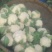 白花菜包装