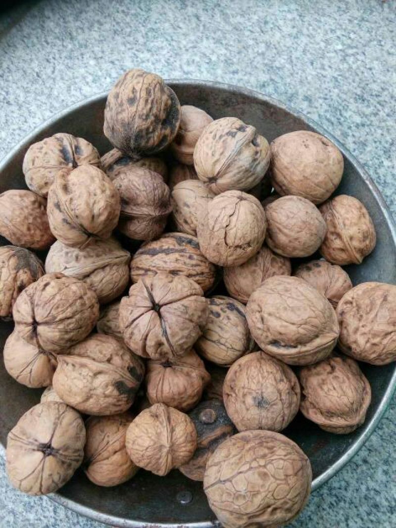 绵核桃30mm以上去皮干