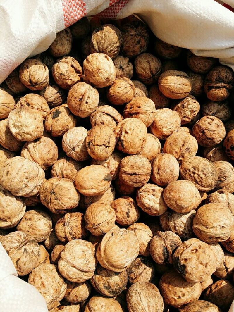 薄皮核桃30mm以上去皮