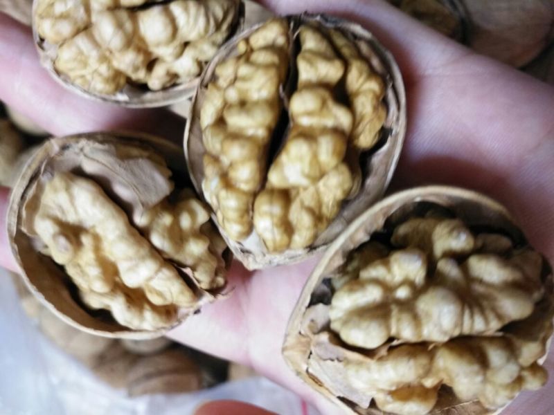 薄皮核桃去皮干