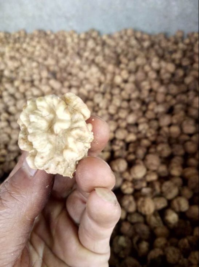 纸皮核桃