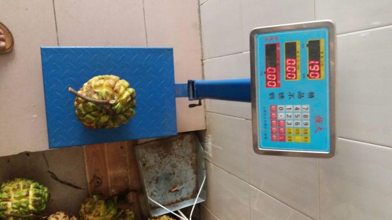 布福娜300~600g