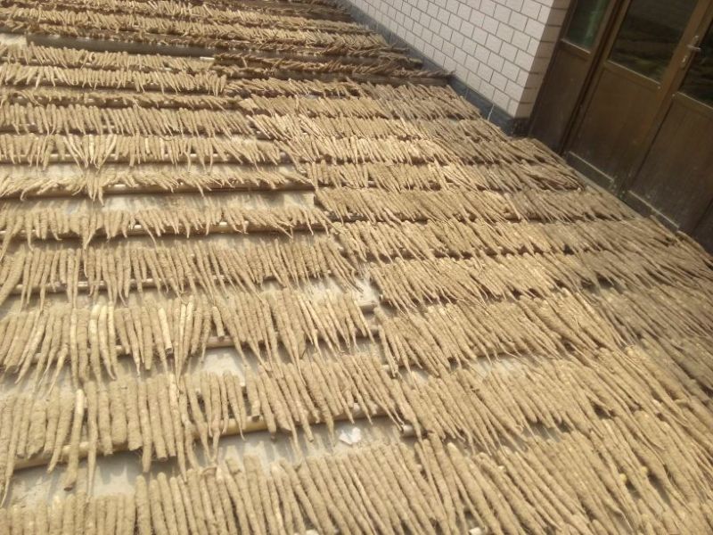 小白嘴白山药2~3厘米30~35厘米