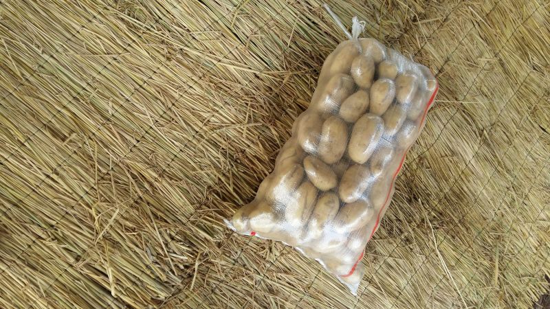 荷兰十五土豆3两以上通货
