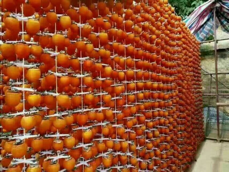 柿饼1两以下