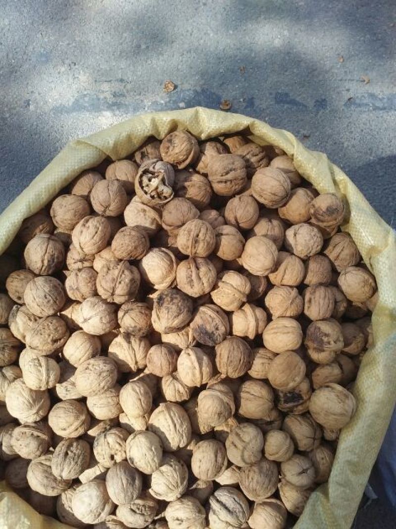 薄皮核桃30mm以上去皮