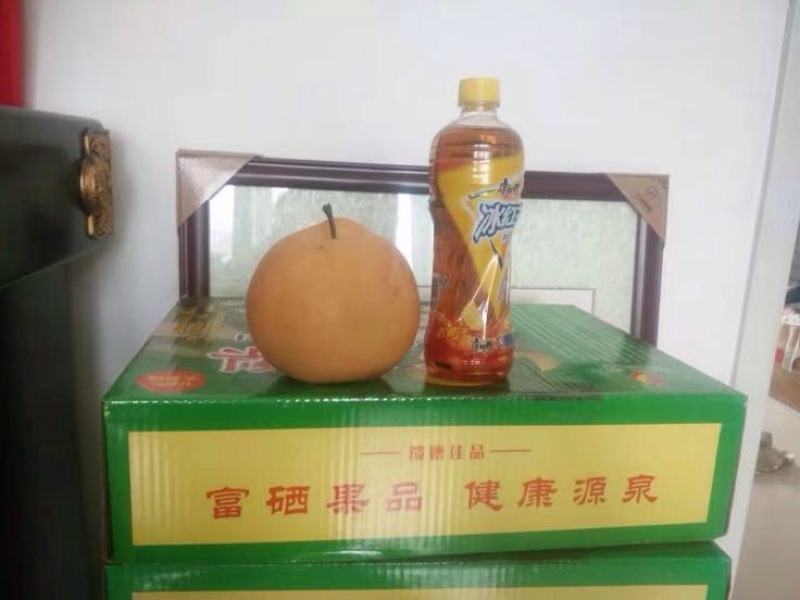 梨