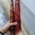 春笋10~15cm15~20cm20~25cm25~