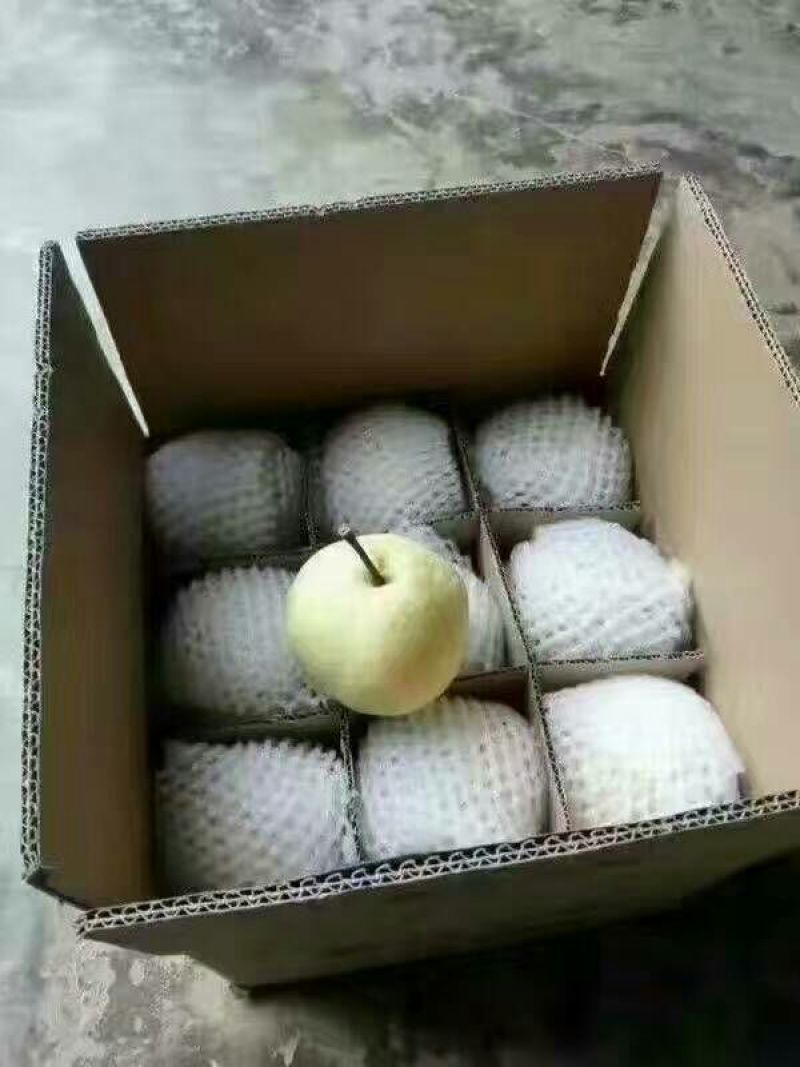 礼泉酥梨150~200g纸袋