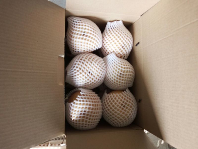 黄晶梨550~600g纸箱