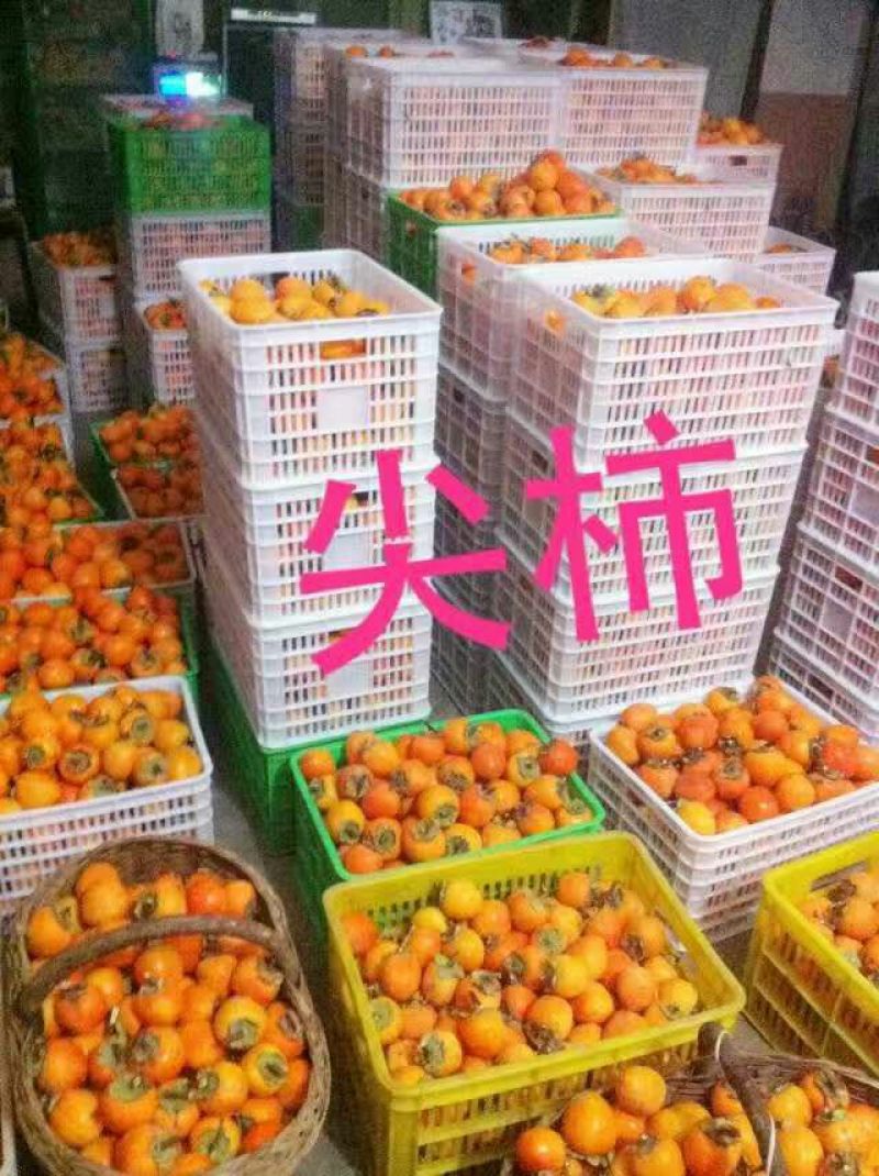 柿饼1~2两