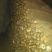 九斤黄山药2~3厘米一级通货30~40厘米