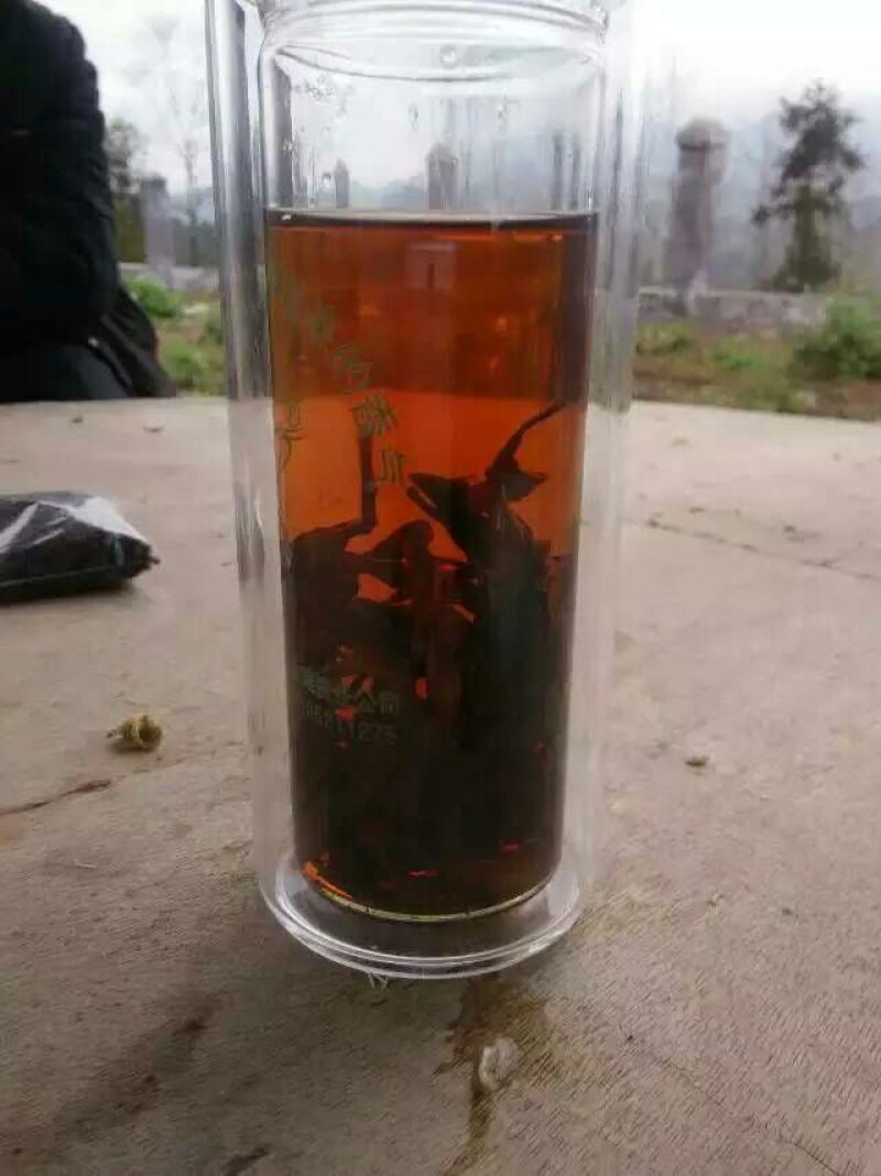 本山茶特级