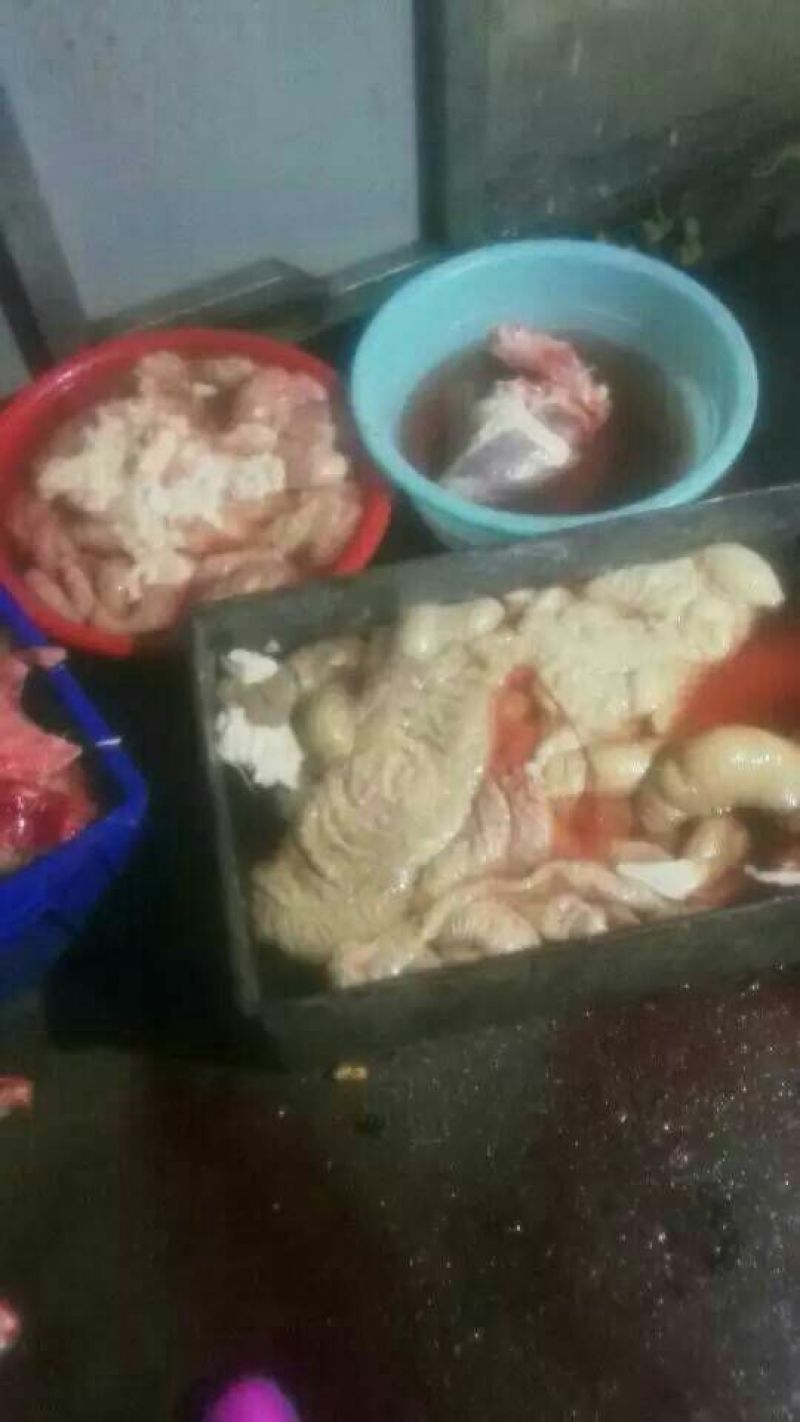 肉驴100~200斤