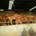 鲁西黄牛犊100~200kg
