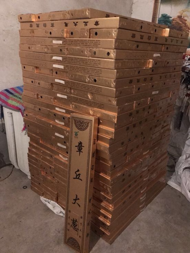 章丘大葱