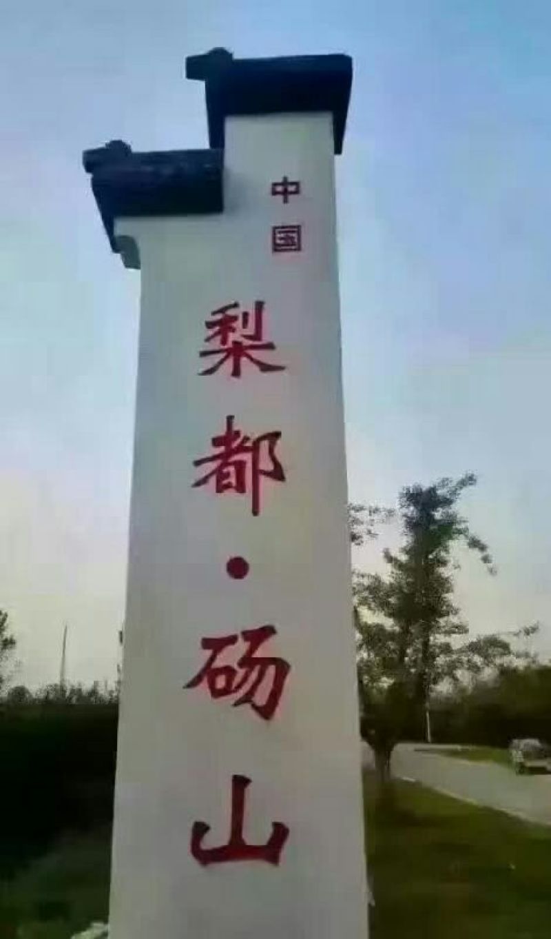 砀山梨250~300g纸箱