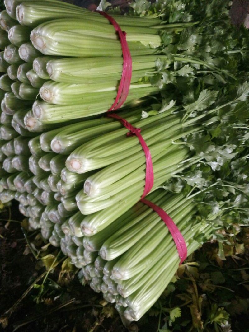 西芹