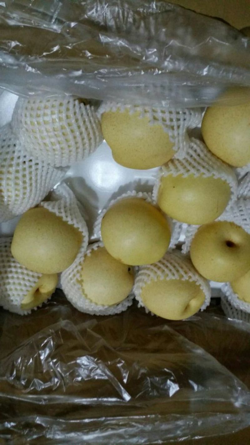 皇冠梨300~350g纸箱