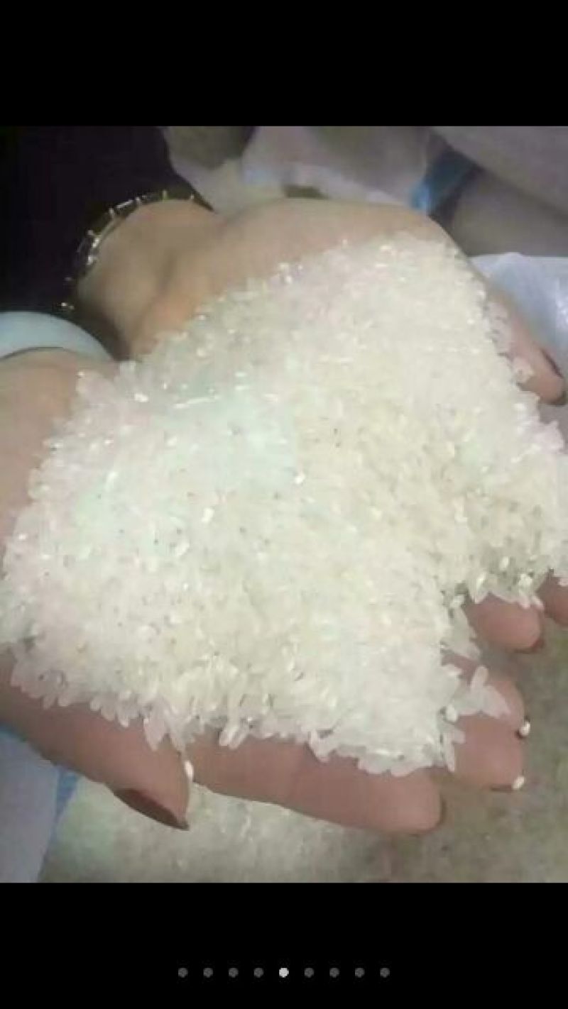 稻花香新米特级