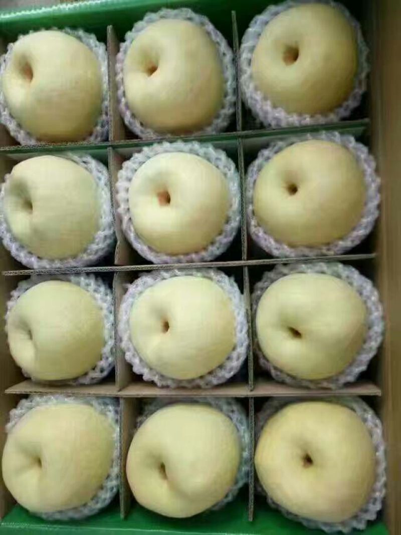 礼泉酥梨150~200g纸袋