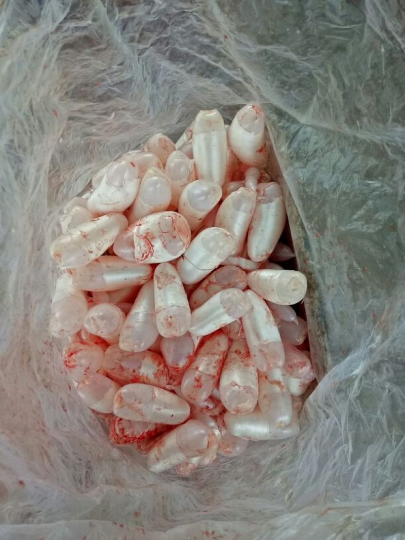 鲮鱼食用1~2公斤