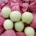 皇冠梨250~300g纸箱